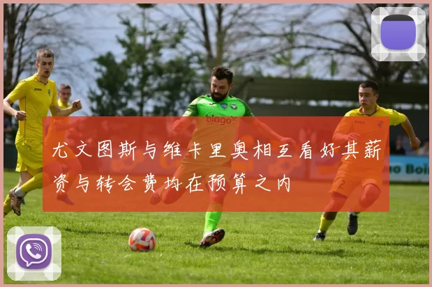尤文图斯与维卡里奥相互看好其薪资与转会费均在预算之内